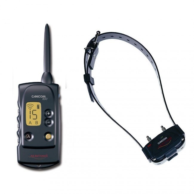 CANICOM 800 Collares perro