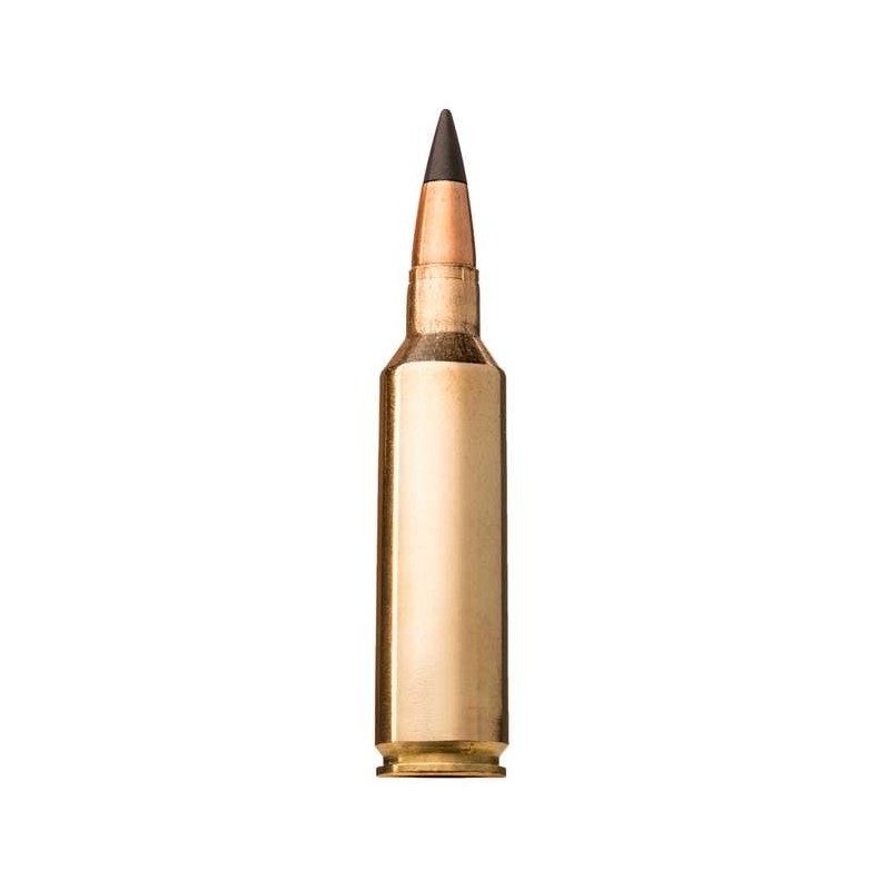 CALIBRE 270 WIN